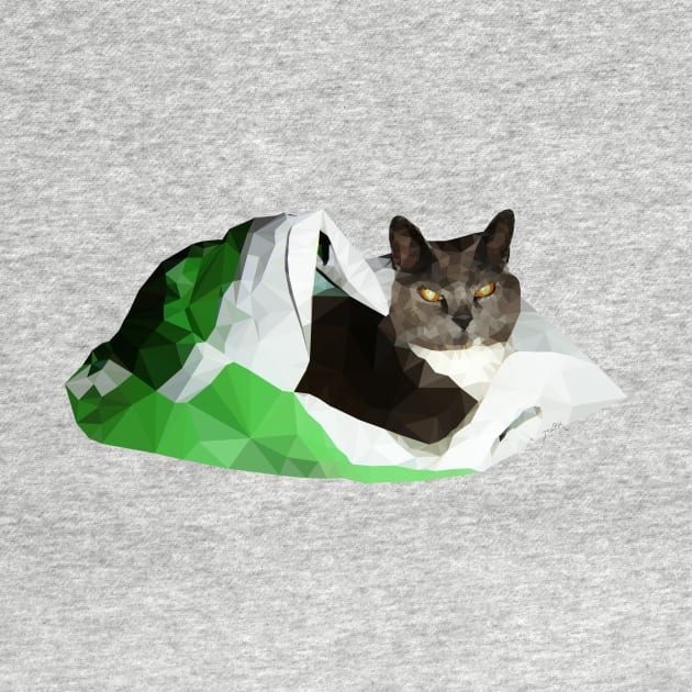 Cat in a bag by Miebk